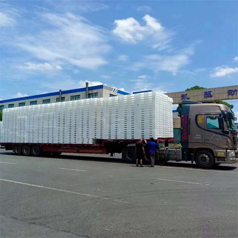 河北衡水阜城县到玉林物流公司——一站式服务，让货运更轻松（玉林专线物流）